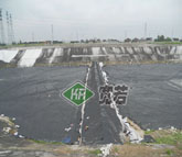 ̫}(cng)̎(chng)B